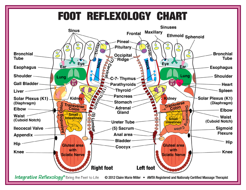 Free printable reflexology foot map